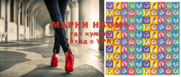 дмт Алзамай